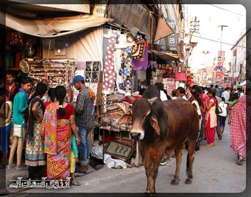 بازار کیناری آگرا